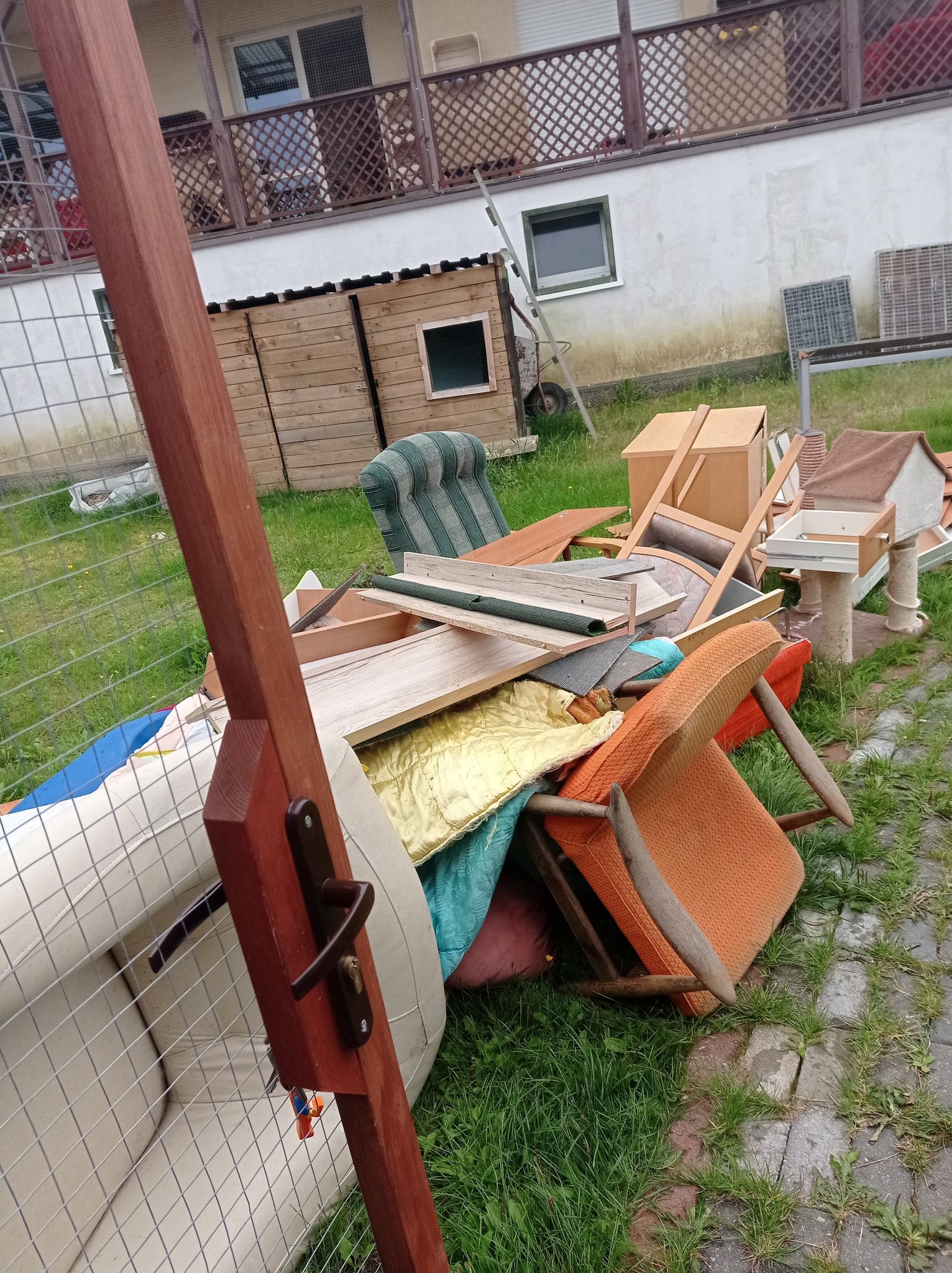 Kociarnia w Bojanie sprzątanie